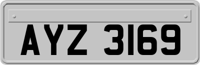 AYZ3169