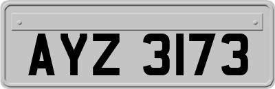 AYZ3173