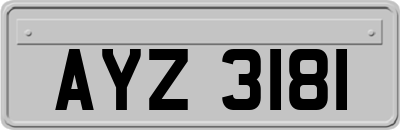 AYZ3181