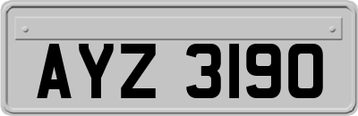AYZ3190