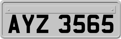 AYZ3565