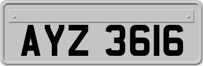 AYZ3616