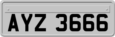 AYZ3666