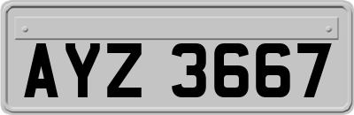 AYZ3667