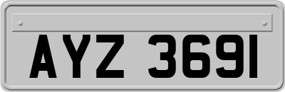 AYZ3691