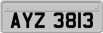 AYZ3813