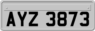 AYZ3873