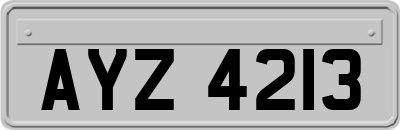 AYZ4213