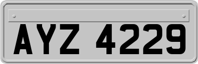 AYZ4229