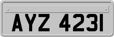 AYZ4231