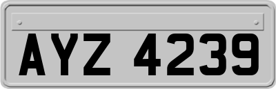 AYZ4239