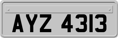 AYZ4313