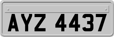 AYZ4437