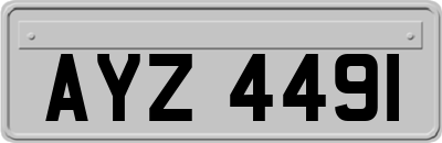 AYZ4491