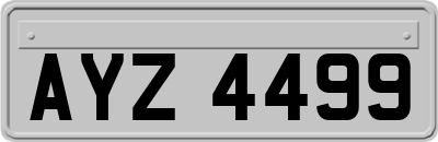 AYZ4499