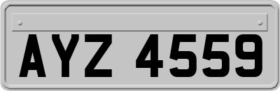 AYZ4559