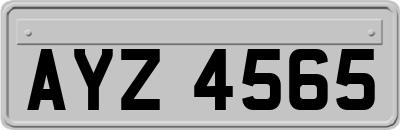 AYZ4565