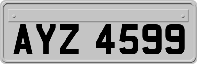 AYZ4599
