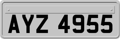 AYZ4955