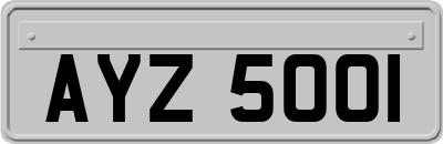 AYZ5001