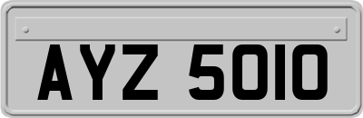 AYZ5010