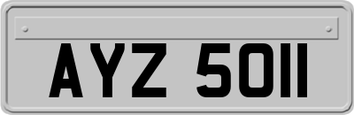 AYZ5011