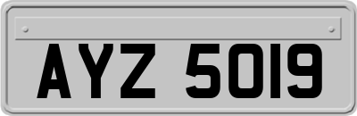 AYZ5019