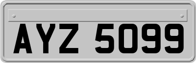 AYZ5099