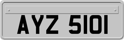 AYZ5101