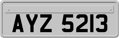 AYZ5213
