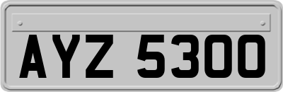 AYZ5300