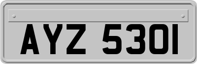 AYZ5301