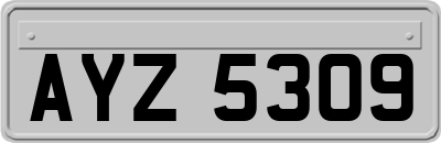 AYZ5309