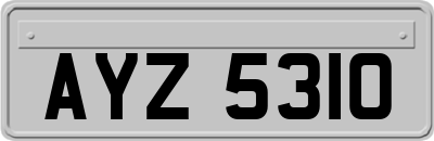 AYZ5310