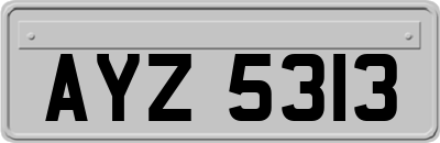 AYZ5313