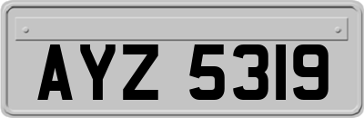 AYZ5319