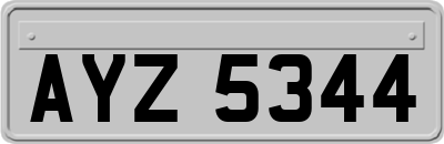 AYZ5344