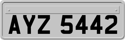 AYZ5442