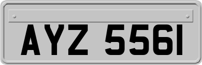 AYZ5561