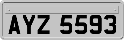 AYZ5593