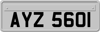 AYZ5601