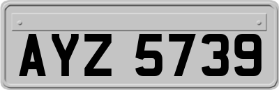 AYZ5739