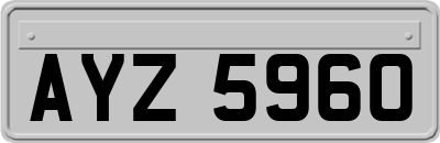 AYZ5960