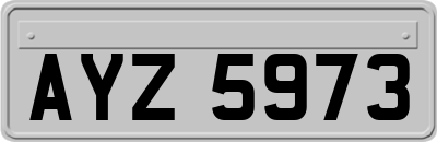 AYZ5973