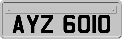 AYZ6010