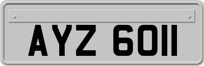 AYZ6011