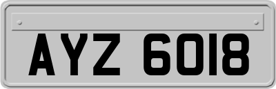 AYZ6018