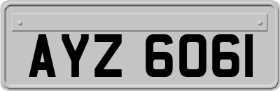 AYZ6061