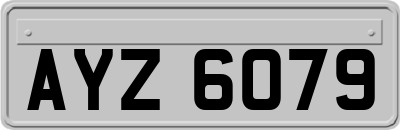 AYZ6079