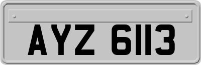 AYZ6113